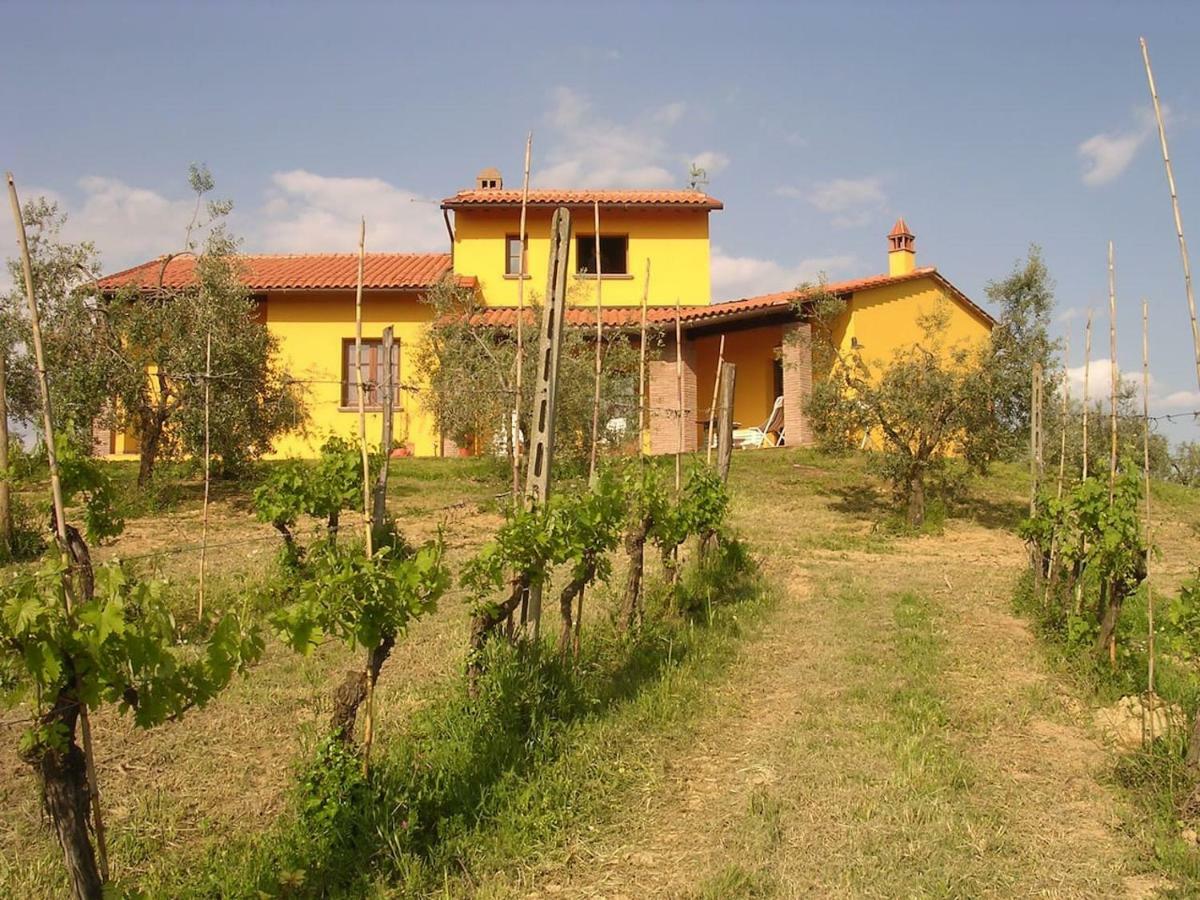 Villa In Campagna Costa Al Bagno Montopoli in Val dʼArno Exterior foto